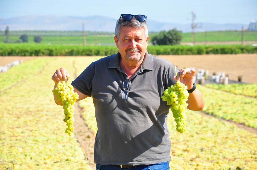 Üzüm ihracatının yüzde 90'ı bu kentten yapılıyor: 103 ülkeye gönderiliyor! Üzümler serildi, ovadan renkli görüntüler... 11